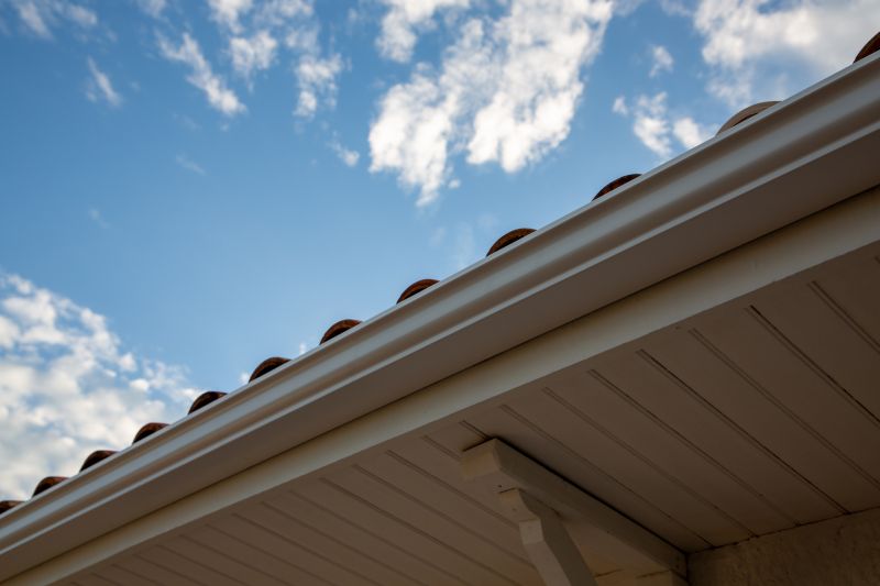 Gutter and Roof Interface